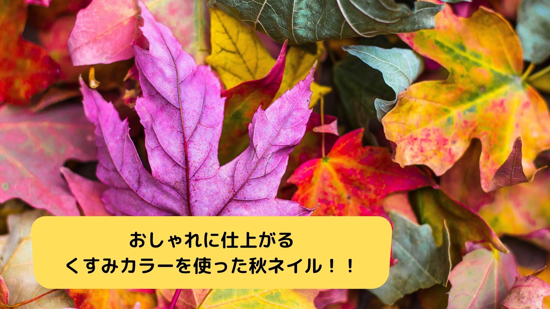 おしゃれに仕上がるくすみカラーを使った秋ネイル 四国 香川県のネイル集客 スクール アドザバイザ コンシェルジュ